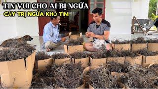 Trúng đậm Minh Đóng Gần 100 Thùng Cây Tắm Ngứa ,Tin Vui Cho Ai Bị Ngứa Lâu Năm