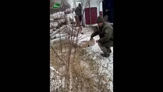Чорних лісорубів затримали у Жмеринському районі