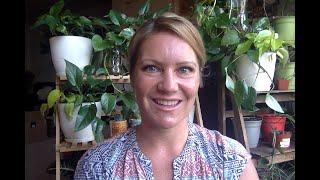 Message from Dr. Tina Beck- COVID update April 30, 2020