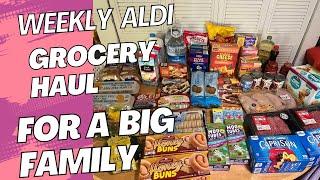 NEW weekly ALDI  grocery haul || Shopping on a budget || Mom of 5