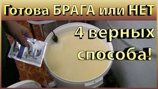 Как узнать БРАГА готова или нет? 4 простых способа!