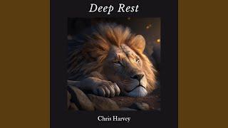 Deep Rest