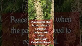 Heal Your Family - Heal Yourself & Leave The Past Behind - Become Unstoppable @BalanCHIng
