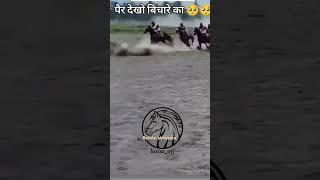 gaurav Singh 2008 #song #love #music #horse #horselover #bollywood #hindisong #funny #chal