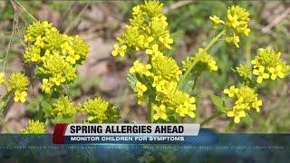 Tips to stay allergy free this season