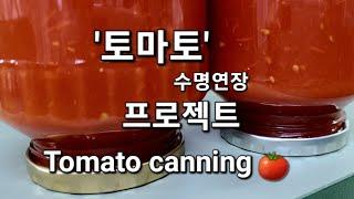 토마토 ''이렇게' 만들면 질병예방 혈관건강 다이어트까지/1년간 보관 가능/토마토 '최고'