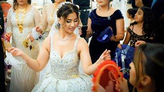 Tarek Shexani/Danial & Sarvin / Part02 / Gold Deko /#DilocanPro #Hochzeit #Wedding #Kurdish #Dilocan