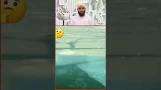 Allah ke qudrat#reelyoutube #shortsfeed #trendingreelsvideo #ytshorts #asifjalali #educational