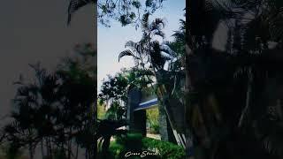 sunday Hostel life boys hostel #bitsathy #video #shorts  #bannariammaninstituteoftechnology