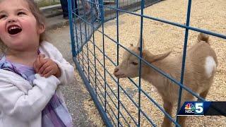 Enosburg Falls celebrates 67th VT Dairy Festival