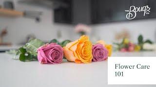 Fresh Cut Flower Care - Bouq Care 101 | The Bouqs Co.