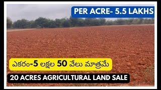 20 Acres Agricultural land for sale || Bangalore -300 km || Guthi near