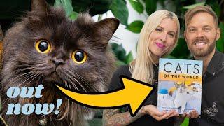 Cats of the World is OUT TODAY!