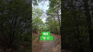 당신 #배호  #추억의명곡