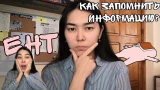 ЕНТ. 3 СПОСОБА запоминать информацию! ЧАСТЬ 1. как готовиться к ЕНТ?