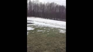 Heli max 1sq quad copter flips.