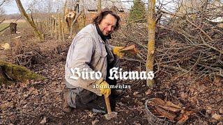 Abonementas - Būro kiemas #04-22
