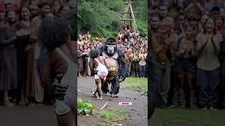 Human-gorilla wedding – A custom that only exists in legends? #nature #animals