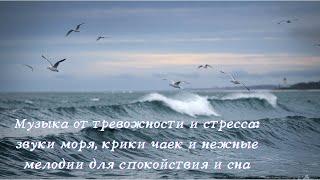 Музыка от тревожности и стресса: звуки моря, крики чаек и нежные мелодии для спокойствия и сна