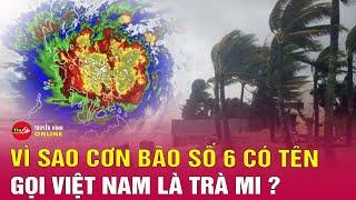 Vì sao cơn bão sắp vào biển Đông mang tên Trà Mi (Trami)? Tin bão mới nhất hôm nay | Tin24h