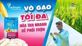 Biobeca vô gạo tối đa, hòa tan nhanh, dễ phối trộn - [CM NNCS]