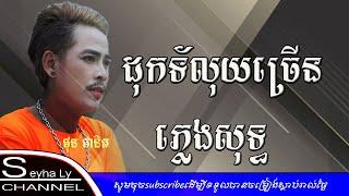 ដុកទ័រលុយច្រើន ភ្លេងសុទ្ធ-Docter luy chrern karaoke [Khmer karaoke]