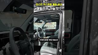 타스만 패밀리카 진짜 가능하다고?