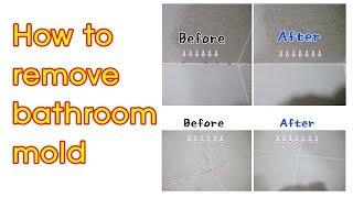 How to remove bathroom mold / bathroom cleaning