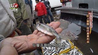 【消失的國界 | 揭密摩洛哥特別企劃PART1】沙丁魚王國 摩洛哥外銷漁獲 自己人卻吃不起魚 | 主播 李天怡 | 三立新聞台