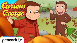 George's Fall Time Fun!  | Marathon for Kids | CURIOUS GEORGE