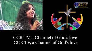 The CCR TV Story