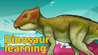 Dinosaur Archaeoceratops Collection | herbivorous dinosaur Archaeoceratops | 공룡 아르카에오케라톱스