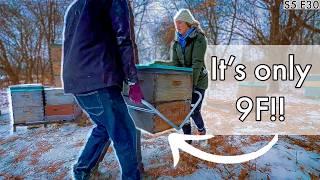 Beekeeping CHALLENGES: Moving and Shipping Hives PART 1 / Beekeeping 101 #beekeeping