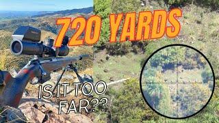 TWO SHOTS - TWO KILLS | VARMINTING AT 700+ YARDS | 6 CREEDMOOR SNIPERS AT LONG RANGE HUNTING