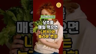 상추를 매일 먹어야 하는 이유  #건강 #건강정보