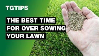 When is the Best Time to Start Over Sowing a Lawn? - Lawn care Tips