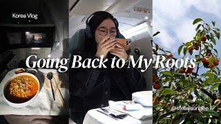 korea vlog | korean air prestige class, life in rural korea, persimmon season