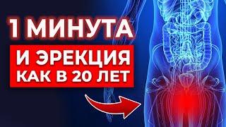 Эрекция гарантирована! Как восстановить ЭРЕКЦИЮ за минуту?