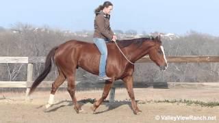 Major Stop - riding bareback and bridleless - Valley View Ranch