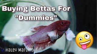 Buying Bettas for "Dummies" | From the Pet Store