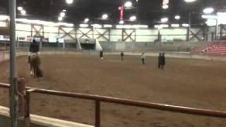 Elle~Hunter Under Saddle 2nd way