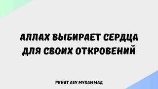 656. Аллах выбирает сердца для Своих откровений