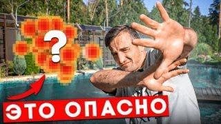 ЭТО может тебя УБИТЬ | ТОП-3 ОПАСНЫХ бактерий | Пруд на участке