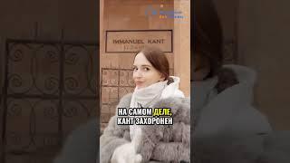 Исследование рождественских рынков в Европе ночью!