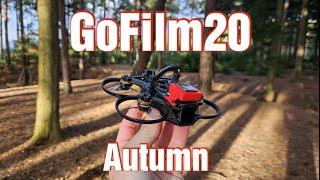 GoFilm20 - Autumn in the forest