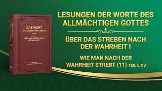 Das Wort Gottes | Wie man nach der Wahrheit strebt (11) (Teil Eins)