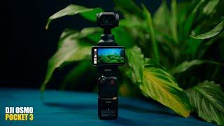 La MEJOR CAMARA para CREAR CONTENIDOS y FILMMAKERS // DJI OSMO POCKET 3