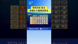 【解説】梅雨前線が復活 来週から梅雨空戻る（6月19日配信） #通勤タイパ #天気