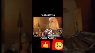 пророк МУСА А. С