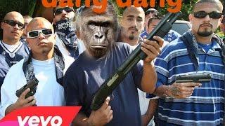JeweledJames - Gang Gang Gorilla